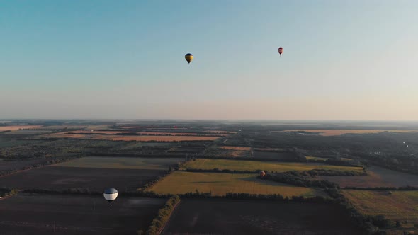 Beautiful balloons fly over the forest, park, city.