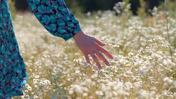 Hand Touches Grass In Wild Field.Female Enjoying Nature At Sunrise.Beautiful Girl On Meadow