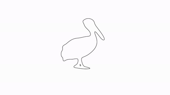 Pelican (Line Art)