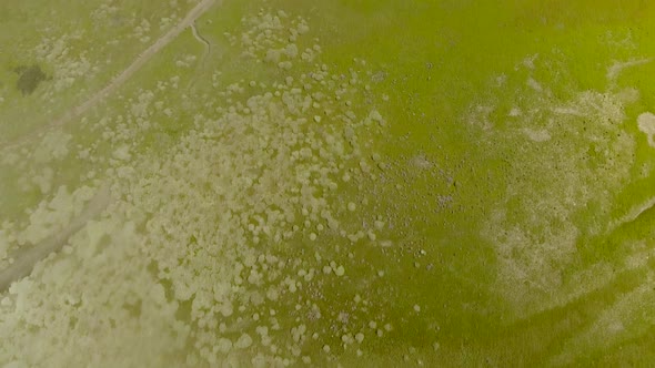 Abstract aerial view of wetlands landscape in the Netherlands.