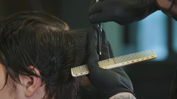 Barber in Gloves Cutting Client's Wet Hair on the Back of the Head with a Thinning Scissors