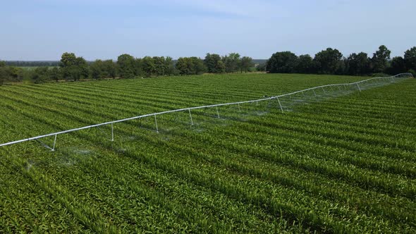 Aerial view of agricultural irrigation system watering corn field