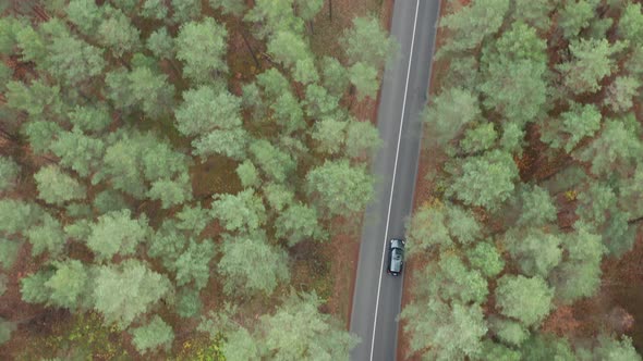 The Drone is Following a Car That Rides on The Road among The Forest. Adventuring on the car.