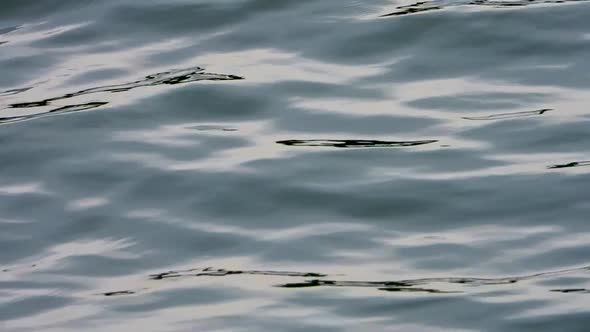 Smooth water waves  in a lake background