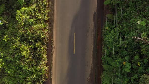 Top view of asphalt one lane road running through a tropical forest