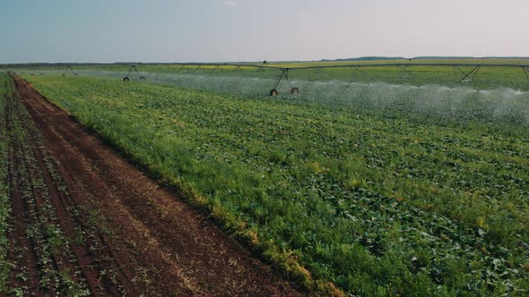 An Aerial View of an Agricultural Sprinkler in Field Summer Season