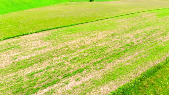 Aerial Drone View Of Lush Green Summer Fields