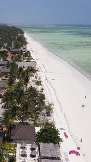 Vertical Video of the Beach on Zanzibar Island Tanzania