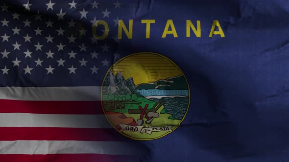 Montana State Usa Mixed Flag 4K