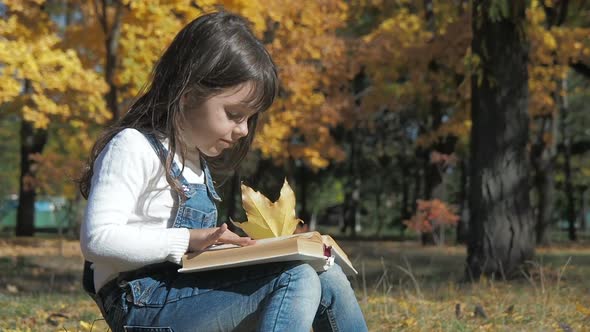 Kid Reading Book in Autumn Park