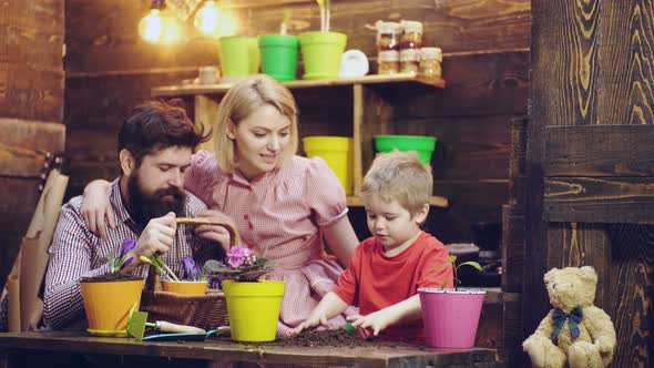 Family Planting Flower in Pot at Home. Family Relationhips. Father and Mother Teaching Child Son