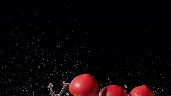 Ripe Red Delicious Tomatoes Jump Up and Flying with Water Splashes on Black Background Several Times