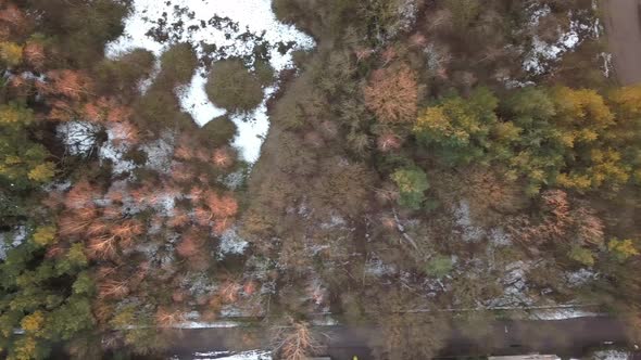 Birds Eye View Drone Shot of a Forest with Some Snow on the Ground