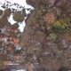Birds Eye View Drone Shot of a Forest with Some Snow on the Ground - VideoHive Item for Sale