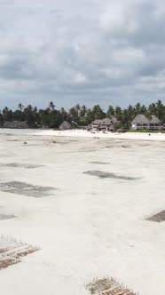 Vertical Video of Low Tide in the Ocean Near the Coast of Zanzibar Tanzania