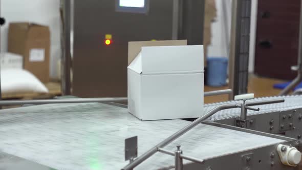 The Box Is Automatically Fed To the Moving Conveyor Belt