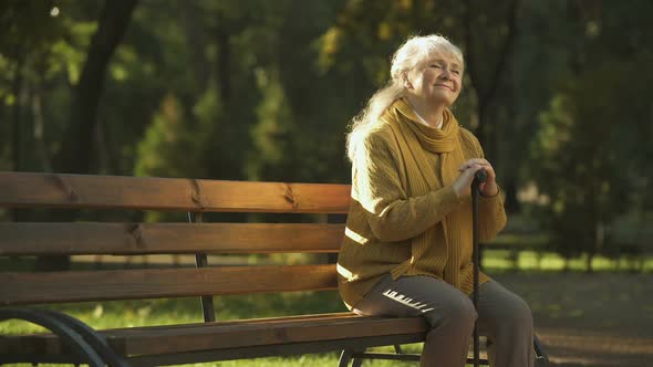Happy Aged Woman Enjoying Warm Sunny Day Sitting on Bench in Park