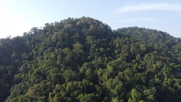 Aerial view fly upward the tropical rainforest in Malaysia