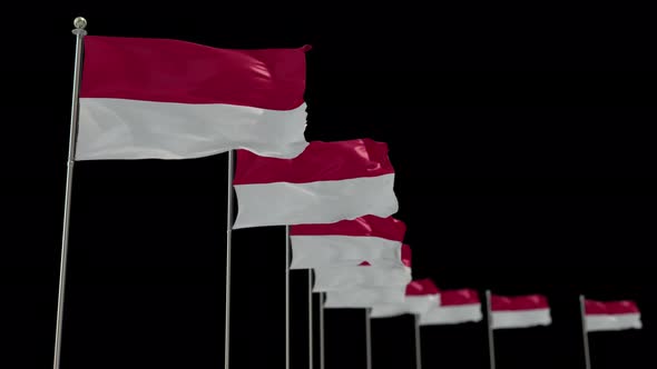 Indonesia Row Of Flags Animation Include Alpha Channel