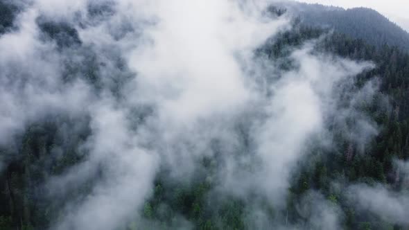 Clouds Above Mountain Forest Flying Through the Magical Spring Forest at Rainy Weather Aerial View