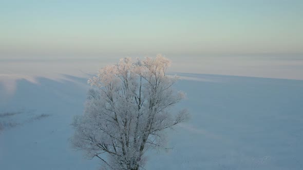 Cold Winter Morning