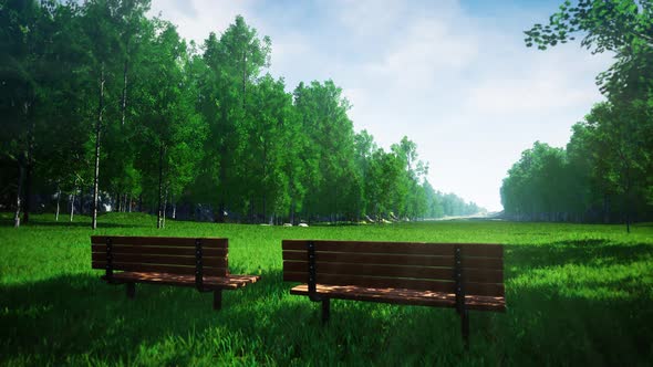 Shady Two Wooden Benches On The Windy Green Grass Park At Sunny Day 4K 01