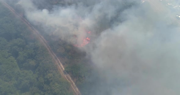 Fire in forest Aerial