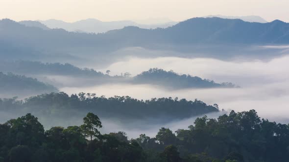 Morning mist at view point.