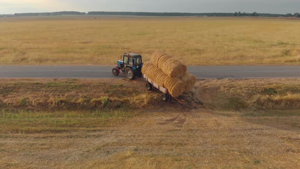 Tractor with Bales of Straw in the Trailer Goes Hard From the Field To the Road