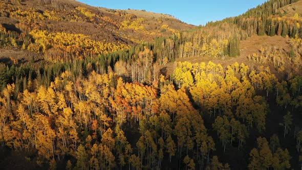 Aerial view of shadow moving over the colorful Fall landscape