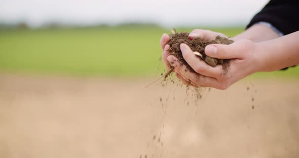 Agriculture, Soil, Farmer Examining Soil in Hands