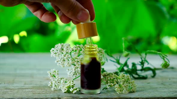 Yarrow Extract in a Small Bottle