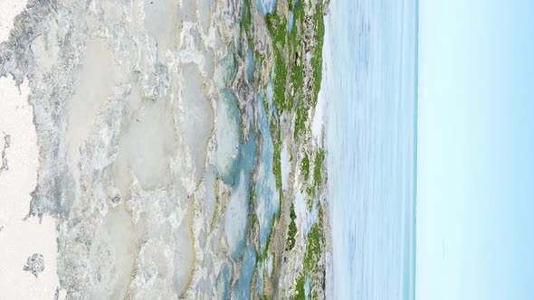 Zanzibar Tanzania  Vertical Video of Low Tide in the Ocean Near the Coast Slow Motion