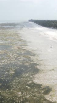 Vertical Video of Low Tide in the Ocean Near the Coast of Zanzibar Tanzania