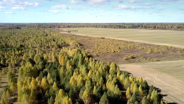 Aerial Boundless Harvested Fields Among Forests in Autumn