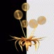 Golden Dandelion - VideoHive Item for Sale