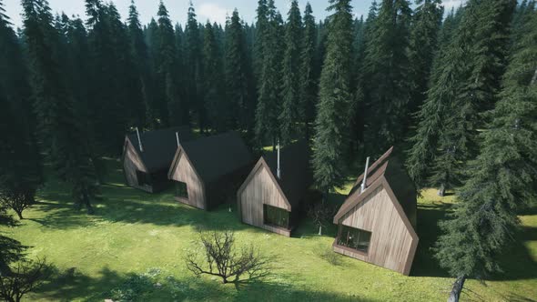 Cottage Houses In The Forest. Green Snowy White Forest.