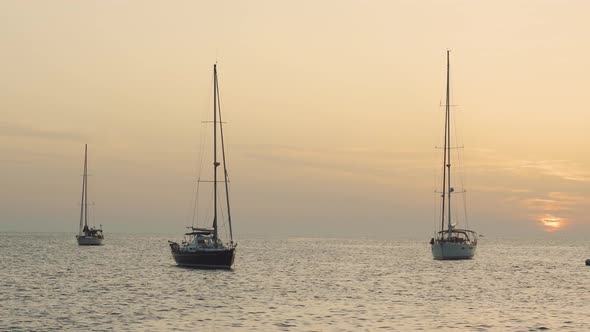 Many Yachts in a Bay on Formentera Island