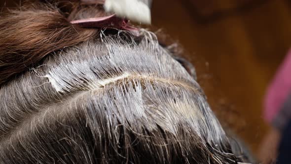 Hair Dyeing with a Brush Closeup