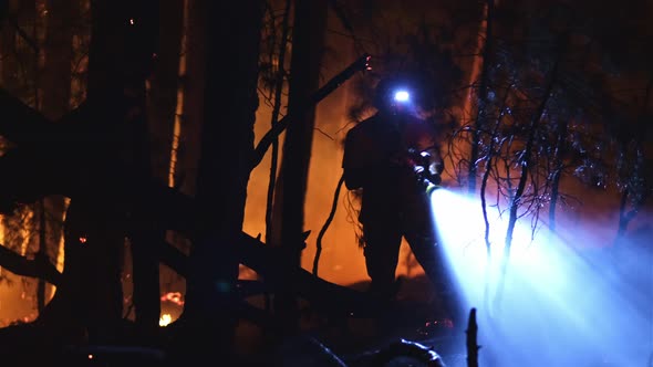 Extinguish a Forest Fire at Night
