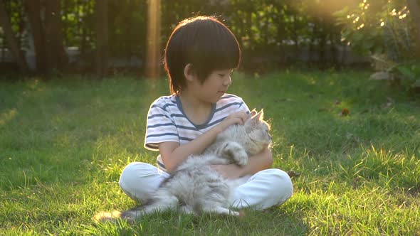 Cute Asian Child Playing With Persian Cat In The Park Outdoor