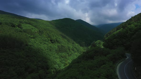 Amazing Mountain And Trees In The Cloud And Fog Aerial View On Sunrise