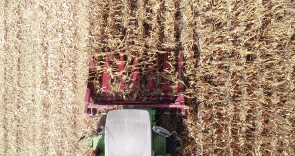 Aerial top down view combine Harvester. Close up agment. Modern Combine Harvesting corn 