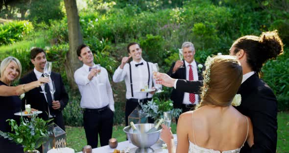 Guests, bride and groom toasting champagne flutes 4K 4k