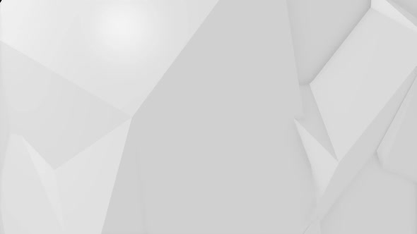 Corporate White Low Poly Background 04