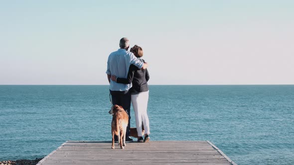 Retired Senior Couple standing on jetty on beach with dogs