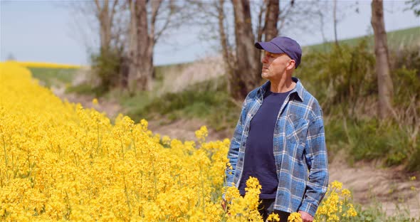 Farmer Examining Rapeseed Crops at Farm Agriculture Concept