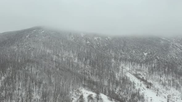 Flying above the forest on Veliki Krsh mountain 4K aerial footage