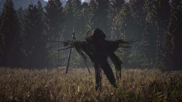 Scarecrow on the Old Village Field