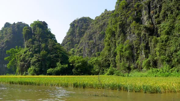 Rice paddies and rock formations near the town of Ninh Binh